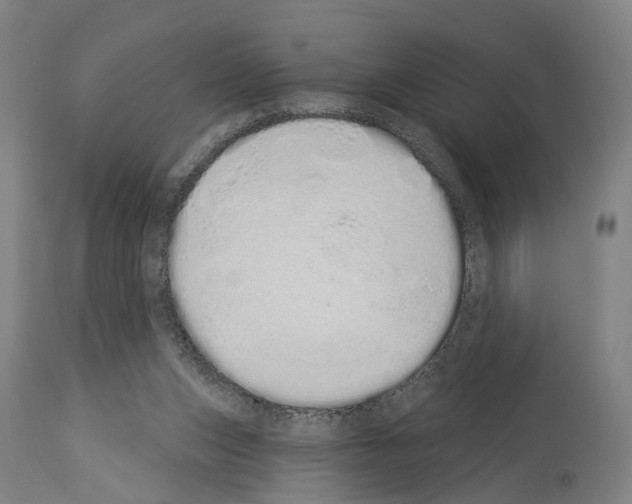 X0000114030159200911131256