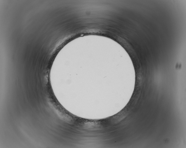 X0000114030160200911131256