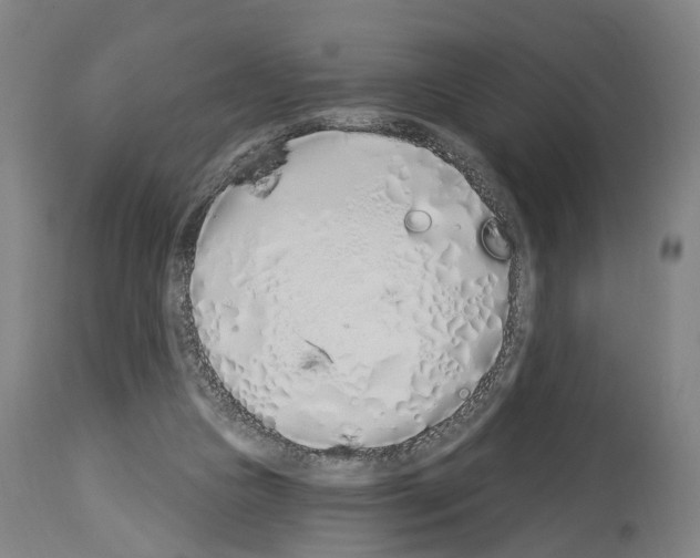 X0000114030161200911131257