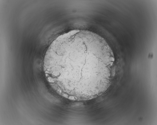 X0000114030162200911131257