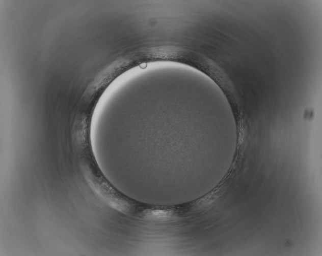 X0000114030163200911131257