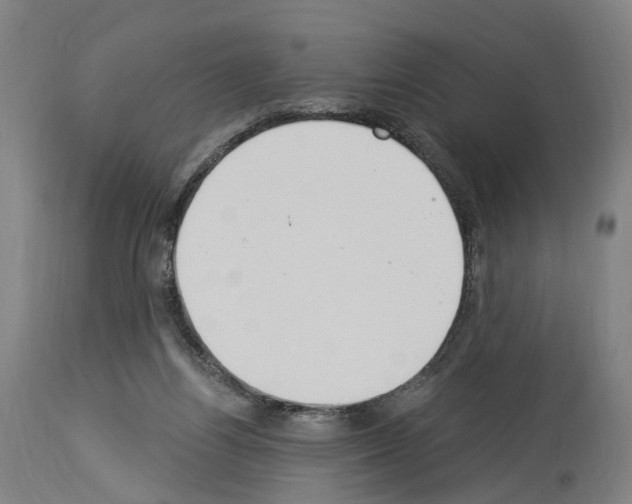 X0000114030164200911131257