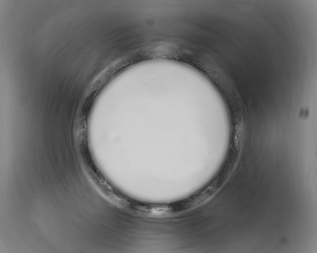 X0000114030165200911131257