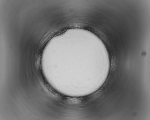 X0000114030166200911131257