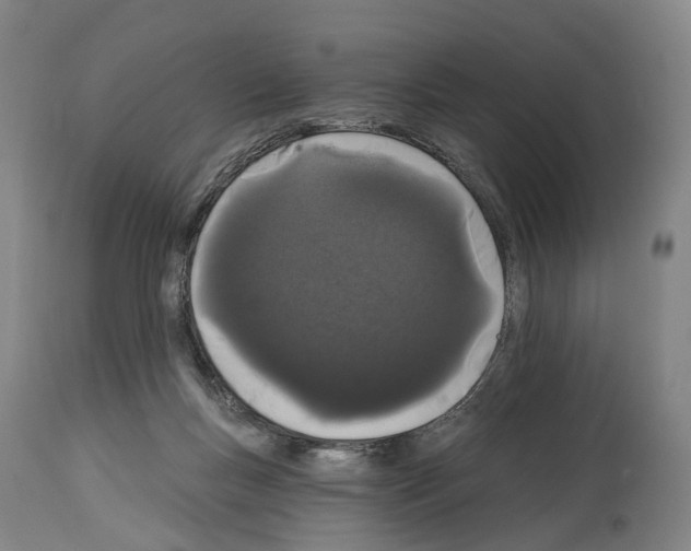 X0000114030167200911131257