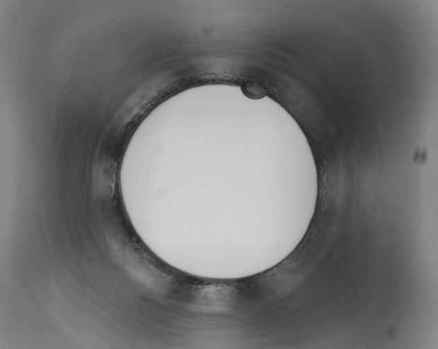 X0000114030168200911131257