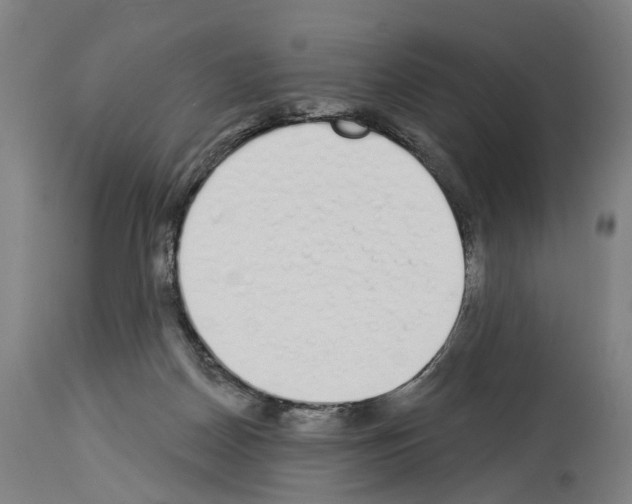 X0000114030170200911131257