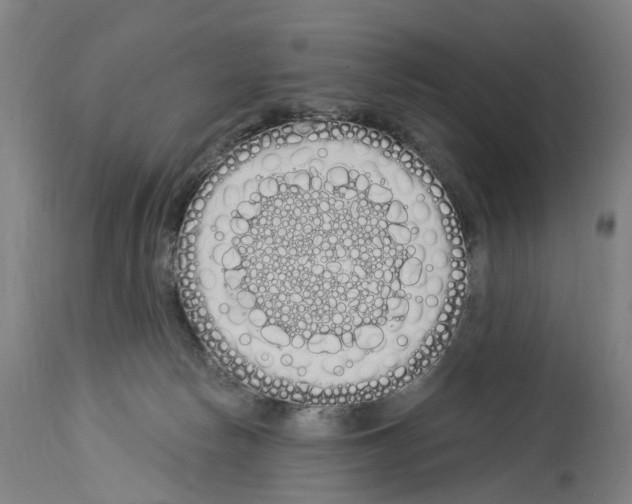 X0000114030178200911131257