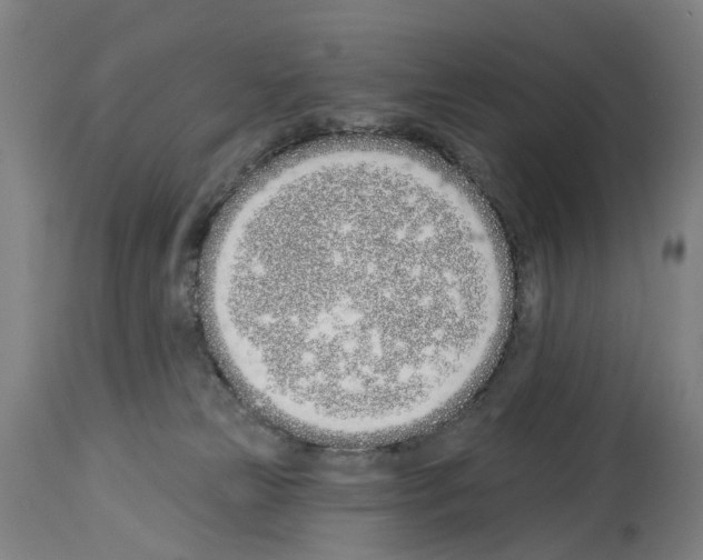 X0000114030181200911131257