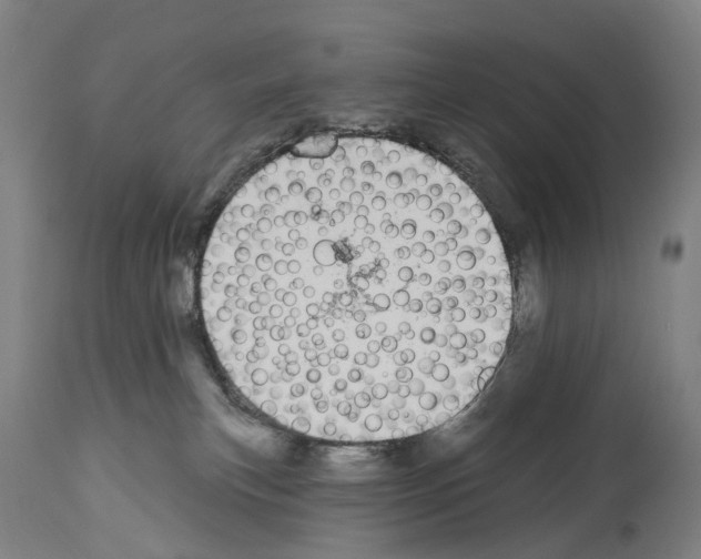 X0000114030183200911131257