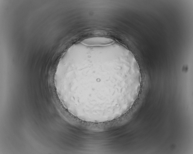 X0000114030185200911131257