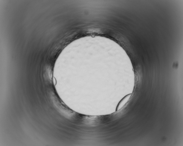 X0000114030186200911131257