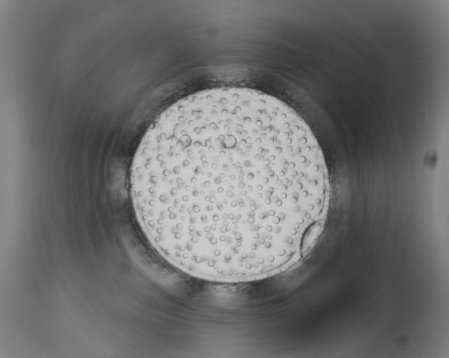 X0000114030187200911131257