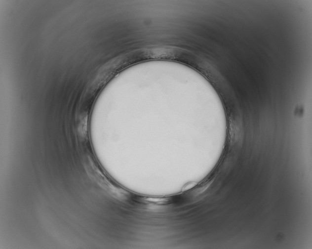 X0000114030189200911131257