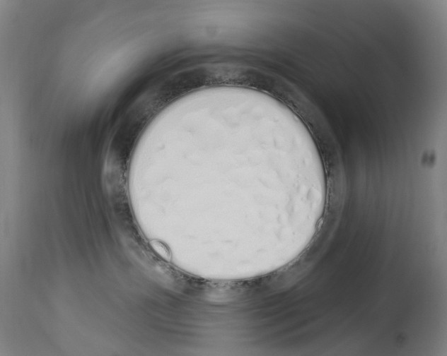 X0000114030191200911131257