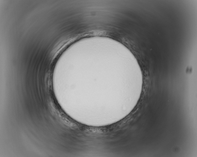 X0000114030194200911131256