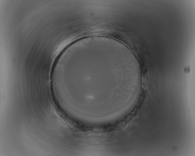 X0000114030196200911131256