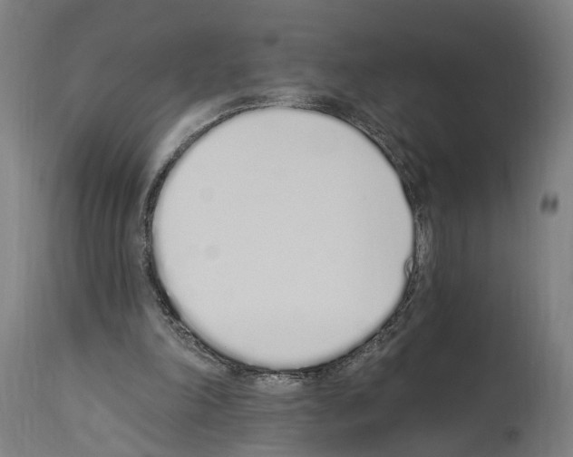 X0000114030198200911131256