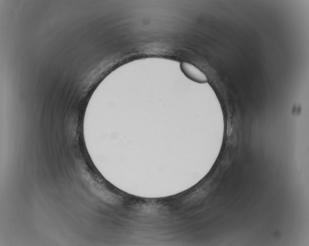 X0000114030201200911131256