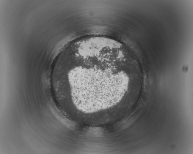 X0000114030203200911131256