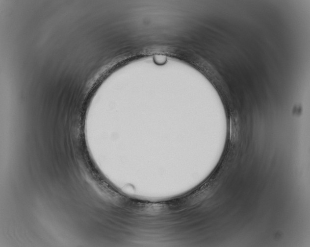 X0000114030204200911131256