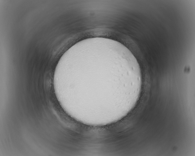 X0000114030210200911131256