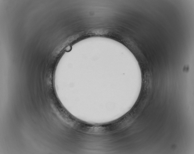 X0000114030212200911131256