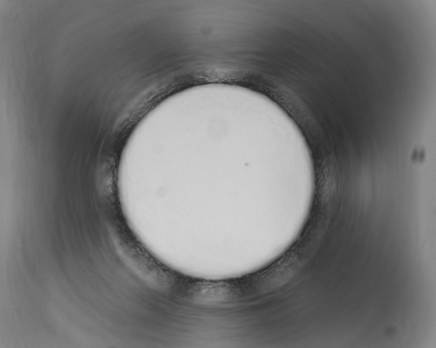 X0000114030214200911131256