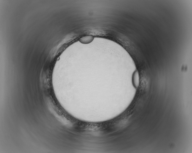 X0000114030215200911131256