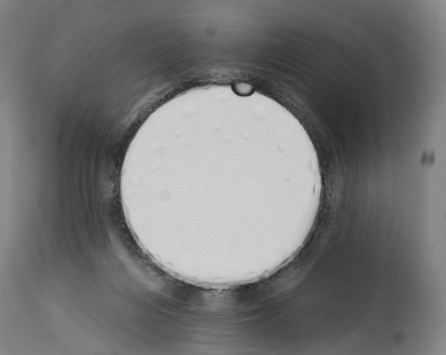 X0000114030216200911131256