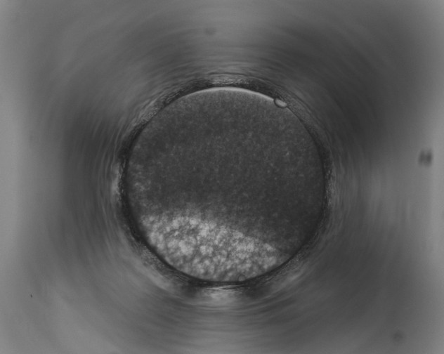 X0000114030219200911131256