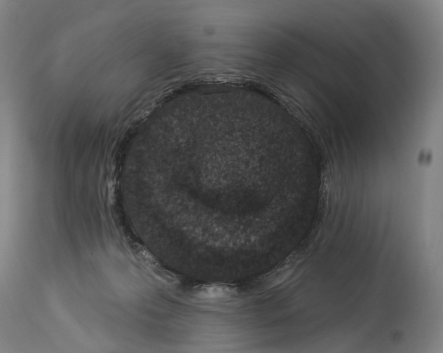 X0000114030223200911131256