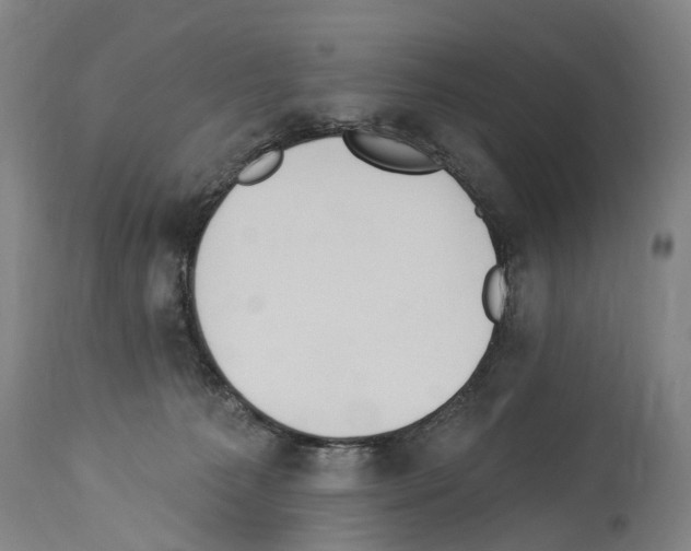 X0000114030225200911131256