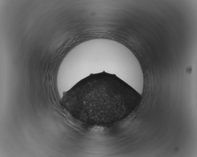 X0000114030227200911131256