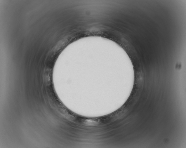 X0000114030232200911131256