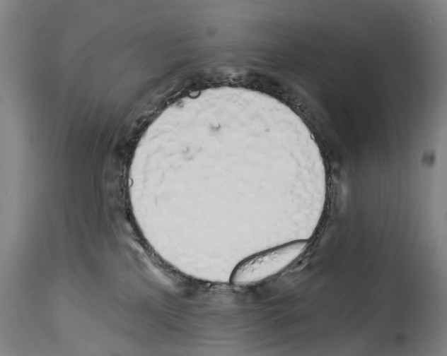 X0000114030233200911131256