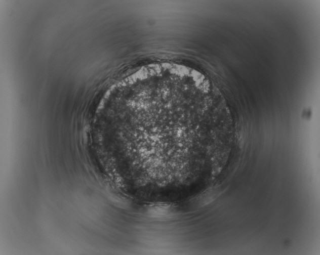 X0000114030235200911131256