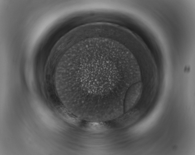 X0000114030239200911131256