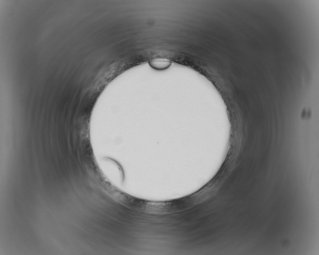 X0000114030240200911131256