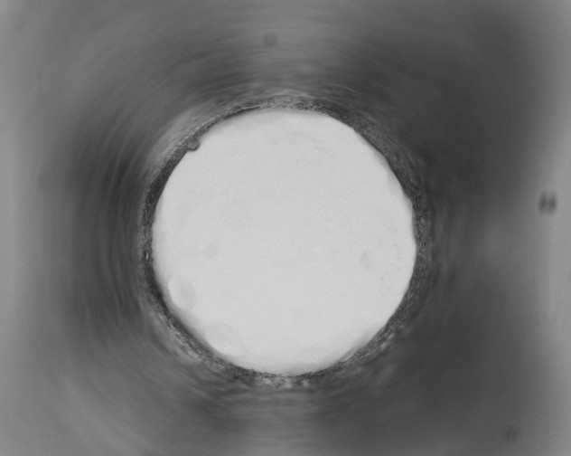 X0000114030242200911131255