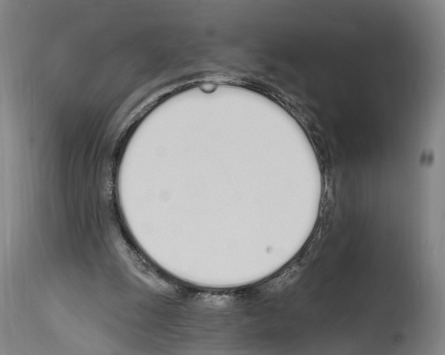 X0000114030247200911131255