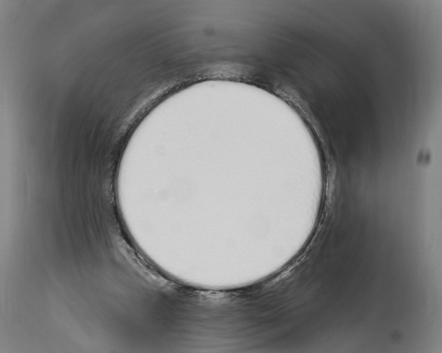 X0000114030249200911131255