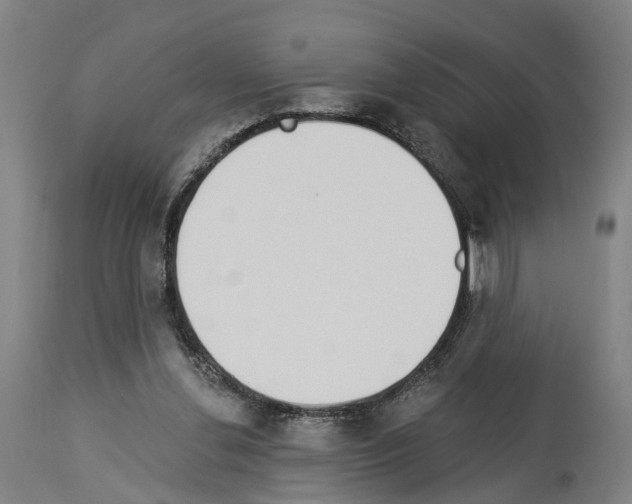 X0000114030252200911131255