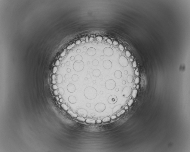 X0000114030253200911131255