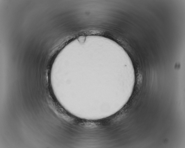 X0000114030254200911131255