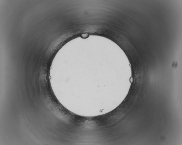 X0000114030256200911131255