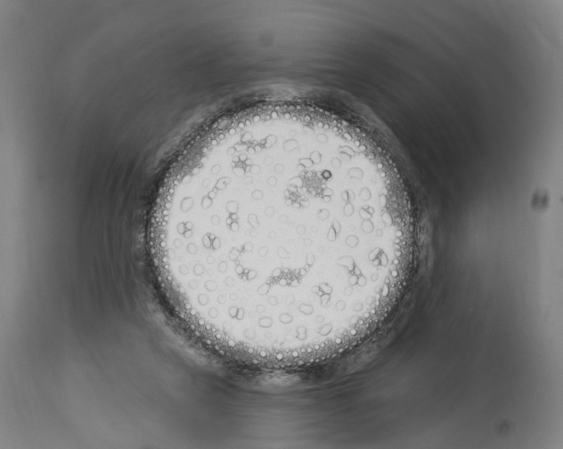 X0000114030257200911131255