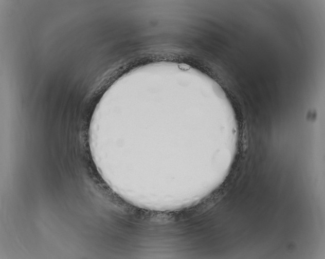 X0000114030258200911131255