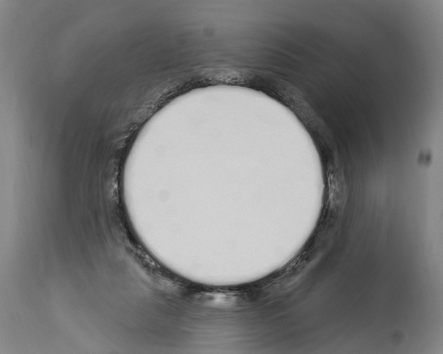 X0000114030259200911131255