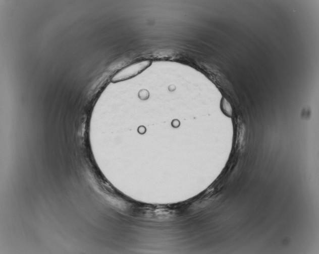 X0000114030260200911131255